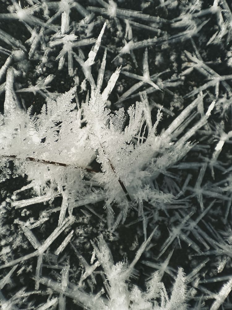 Фотография автора Ирина Романовская