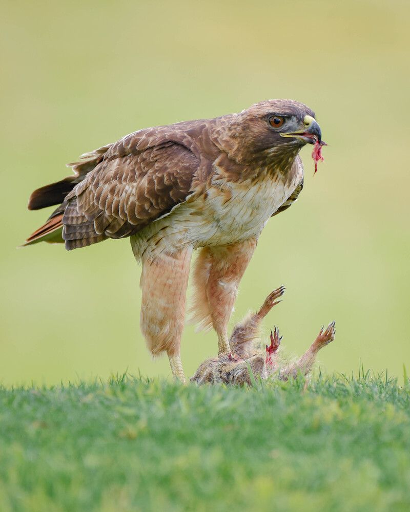 Photograph by Antara Chakravarty