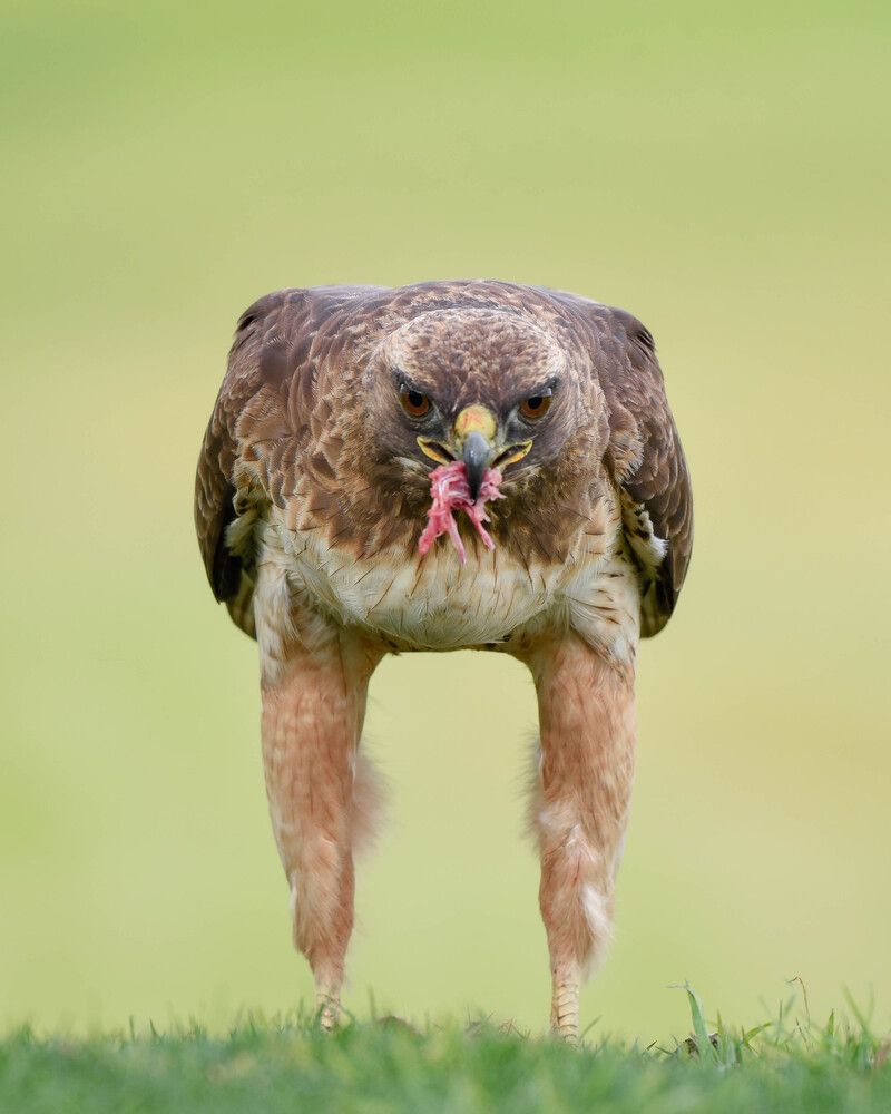 Photograph by Antara Chakravarty