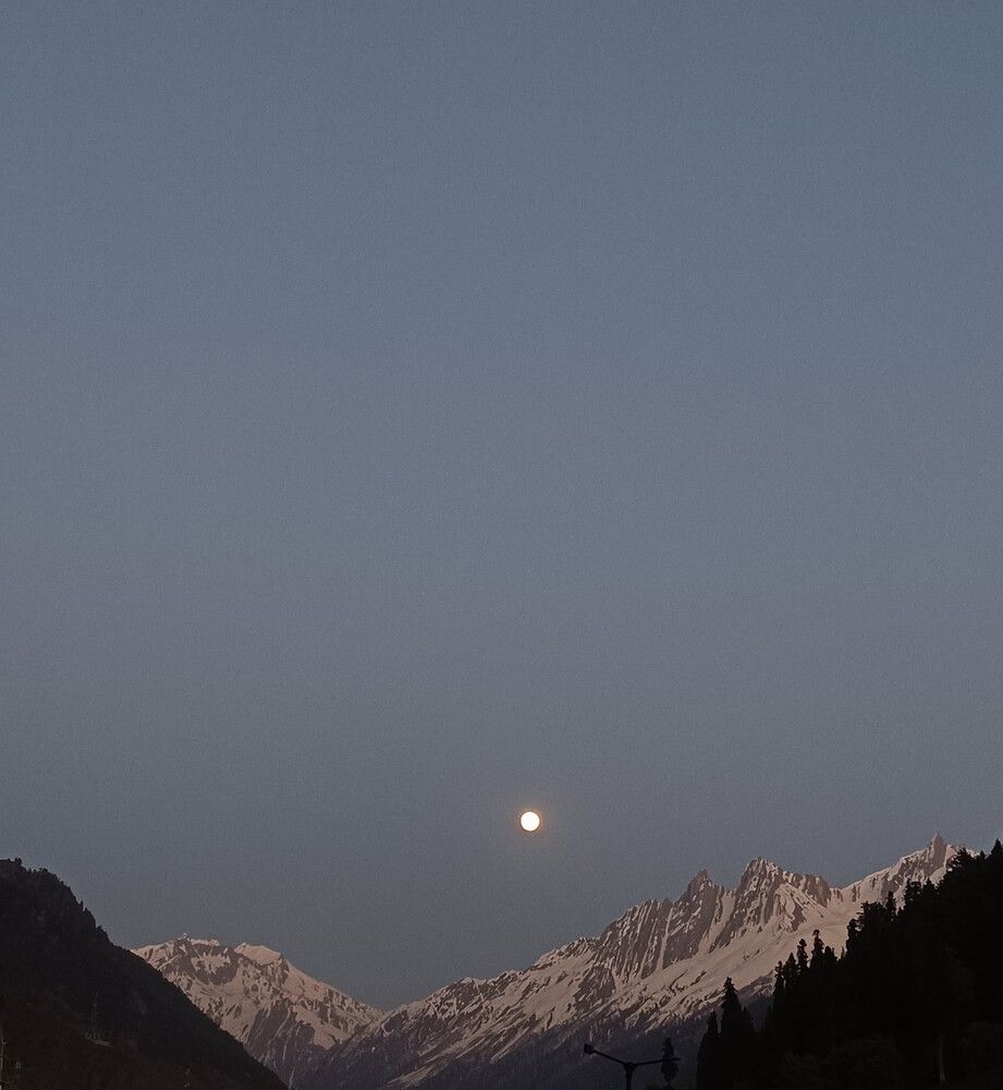 Photo #12013517