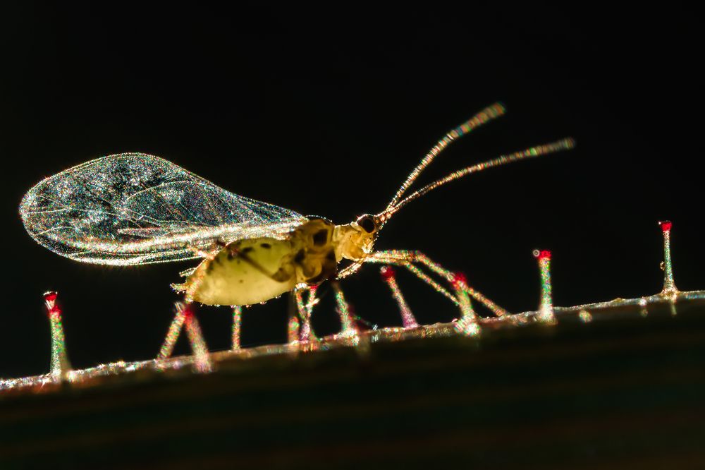 Photograph by Соварцева Ксения