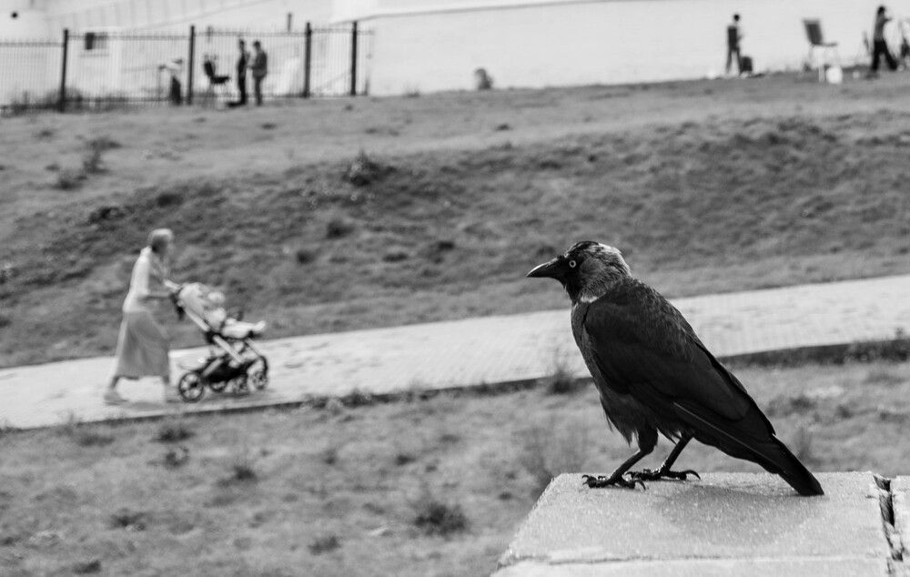 Photograph by Ксения Рябухина