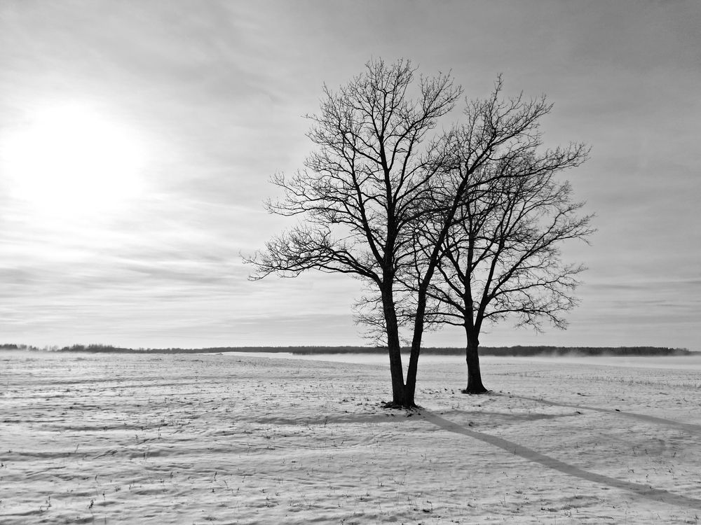 Фотография автора Кристина Догодька