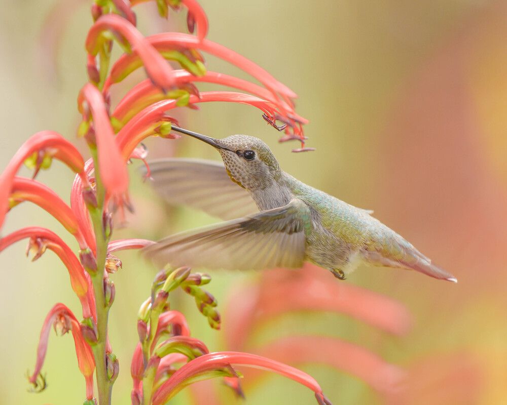 Photograph by Antara Chakravarty