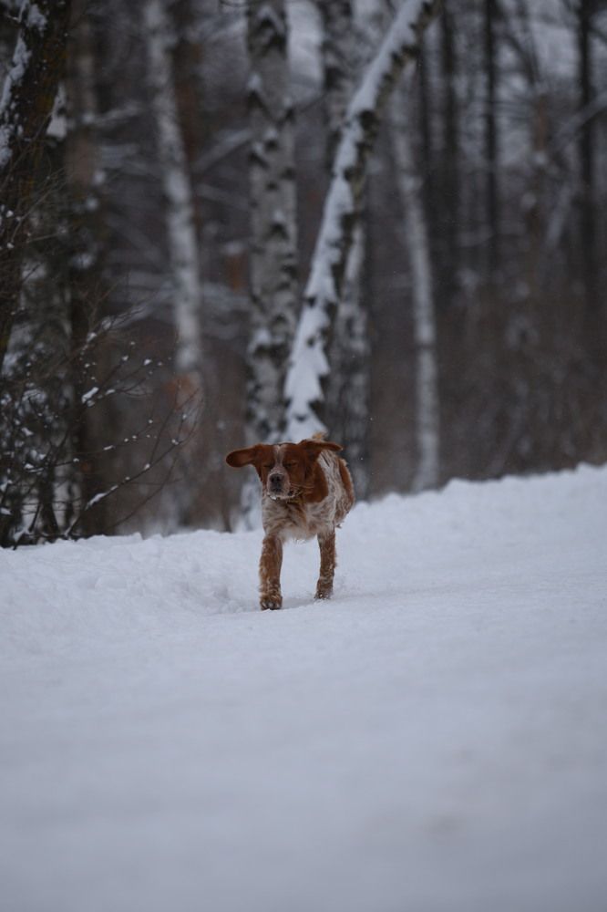 Фотография автора Иван Безрядин