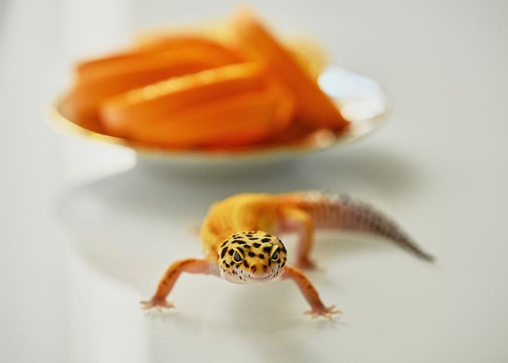 Photograph by Расим Римиев