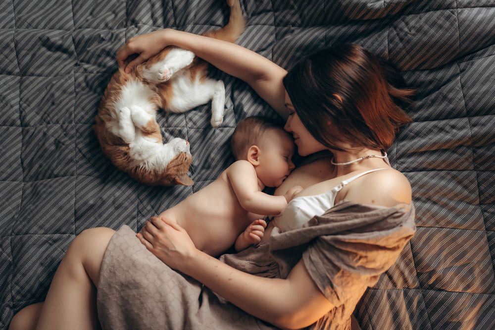 Photograph by Юлия Шуарт