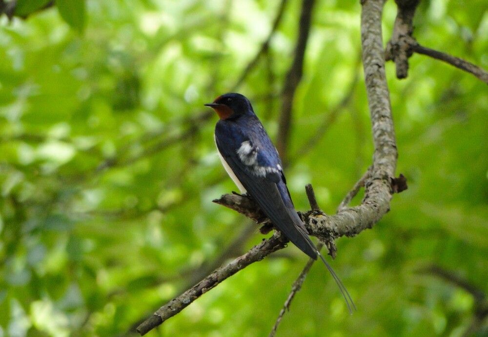 Photograph by Оксана Архипова