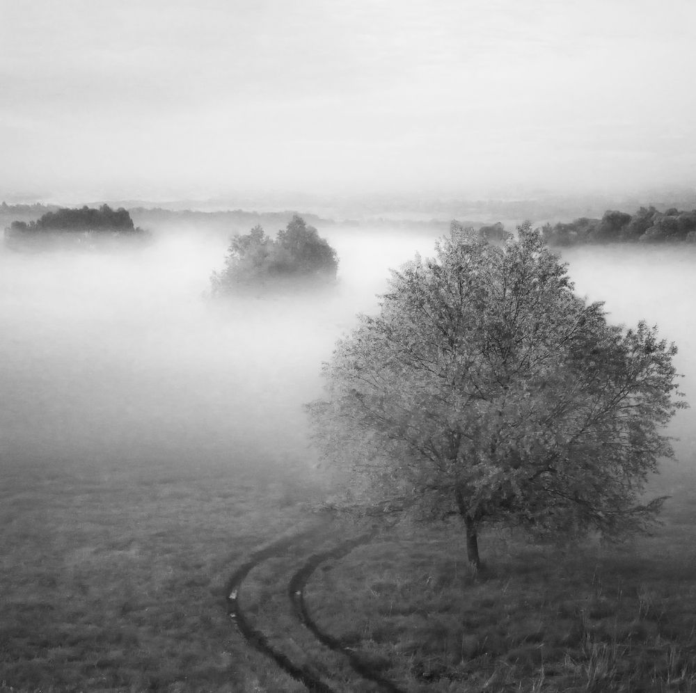 Фотография автора Жерелин Евгений