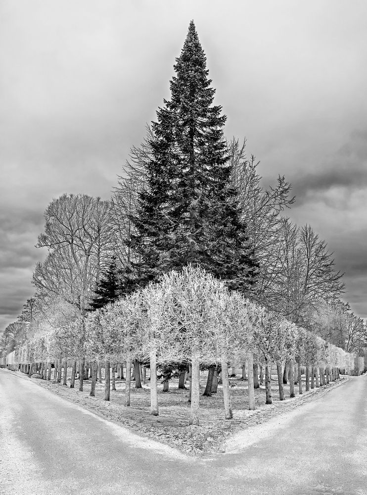 Фотография автора Жерелин Евгений