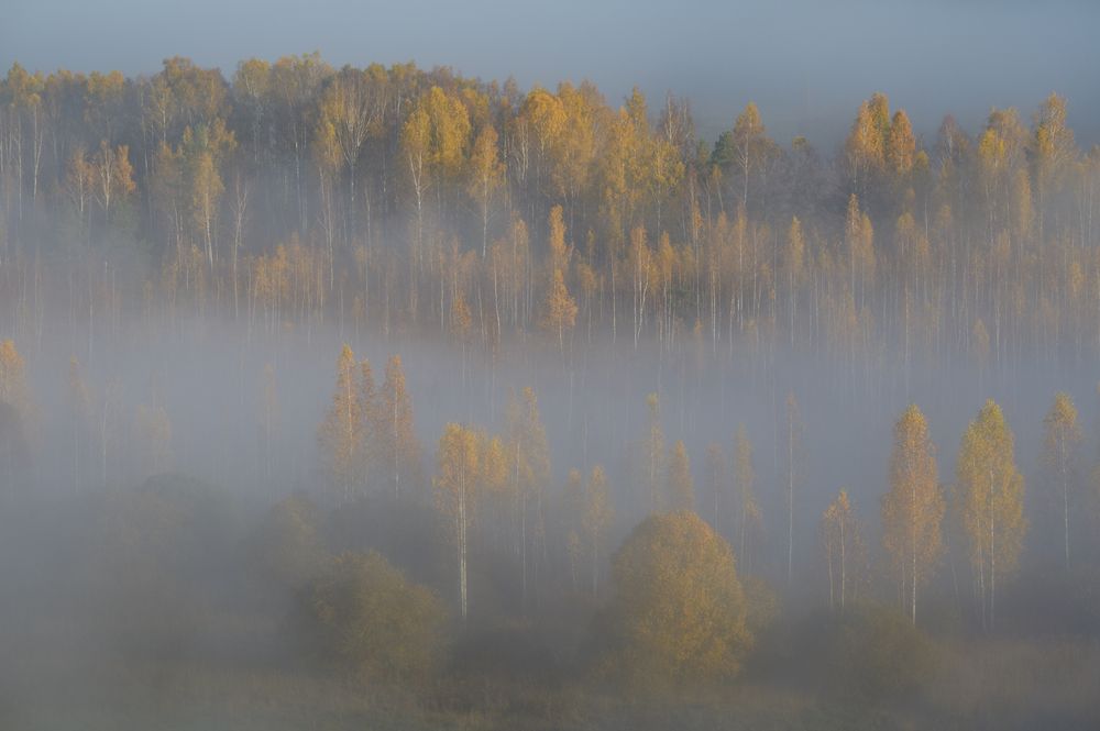 Photograph by Роман Фабричный