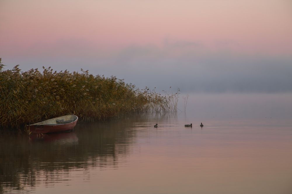 Photograph by Мурзинов Виктор