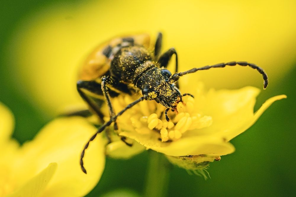 Фотография автора Ivanova Helena