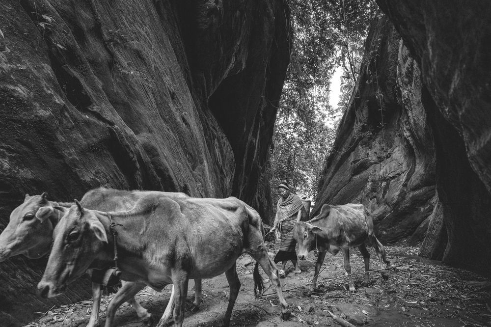 Photograph by kulottam