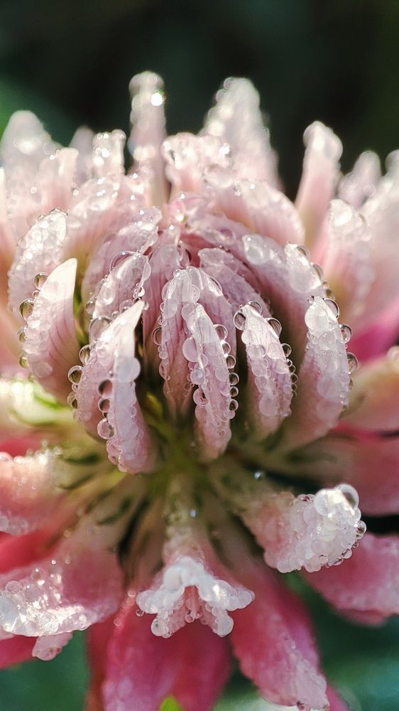 Photograph by Вахромова Елена