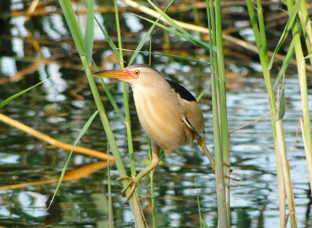 Photograph by Оксана Архипова