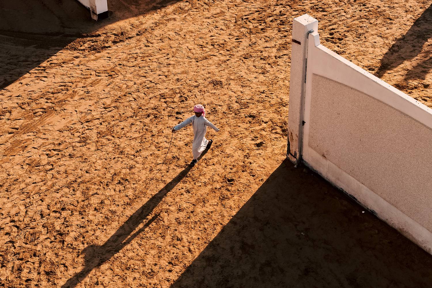 Фотография #12013971