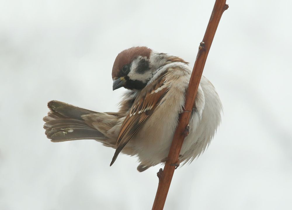 Photograph by Дмитрий Фетисов