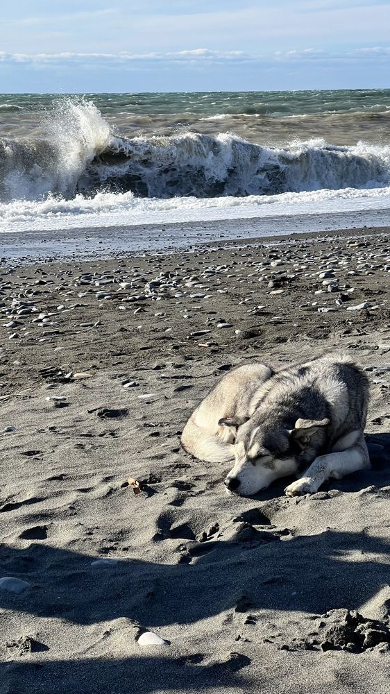 Photograph by Александра Тимошенко