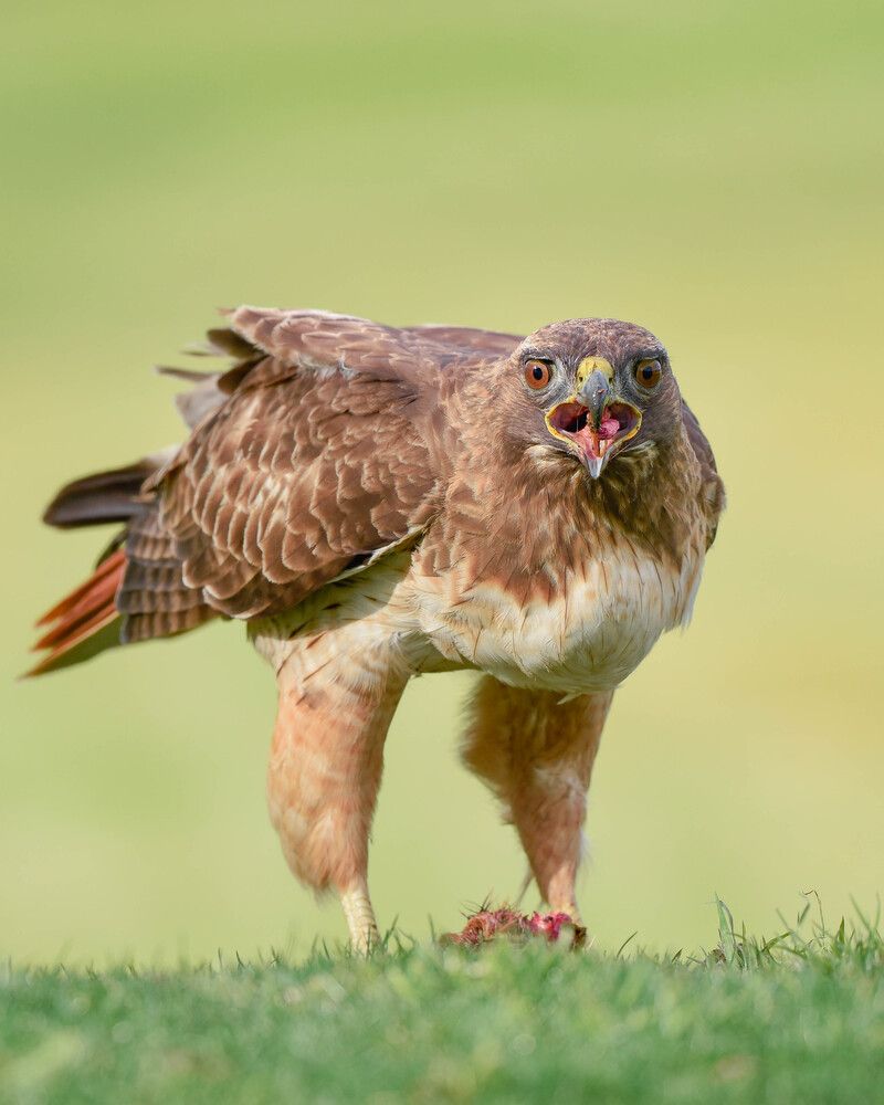 Photograph by Antara Chakravarty