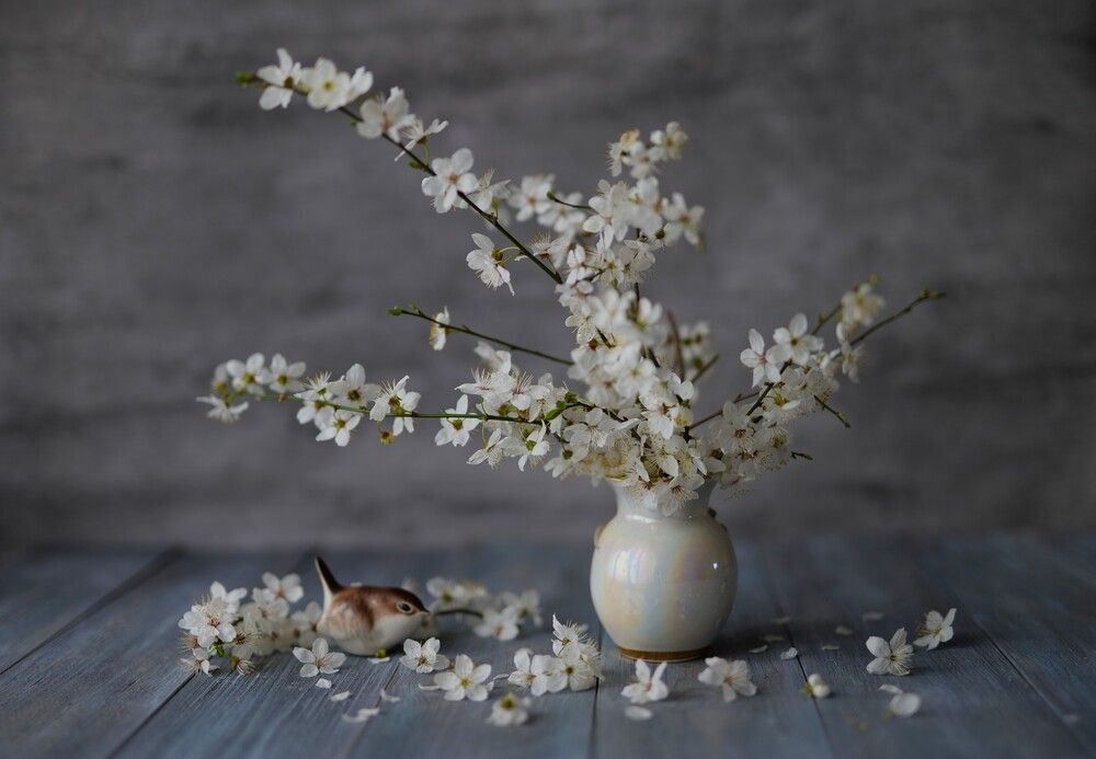 Photograph by Оксана Архипова