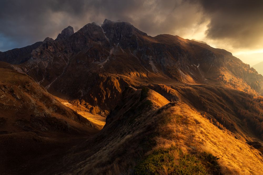 Фотография автора Petr Kleisner