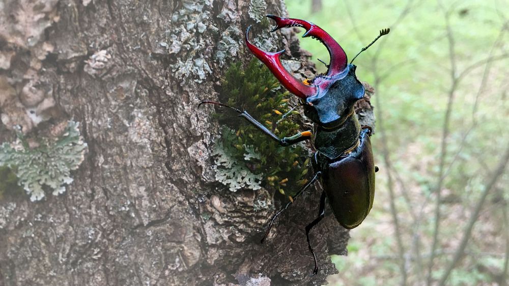 Photograph by Albert Zhager