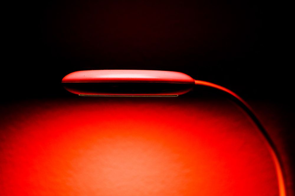 Photograph by Zeljko Grganic