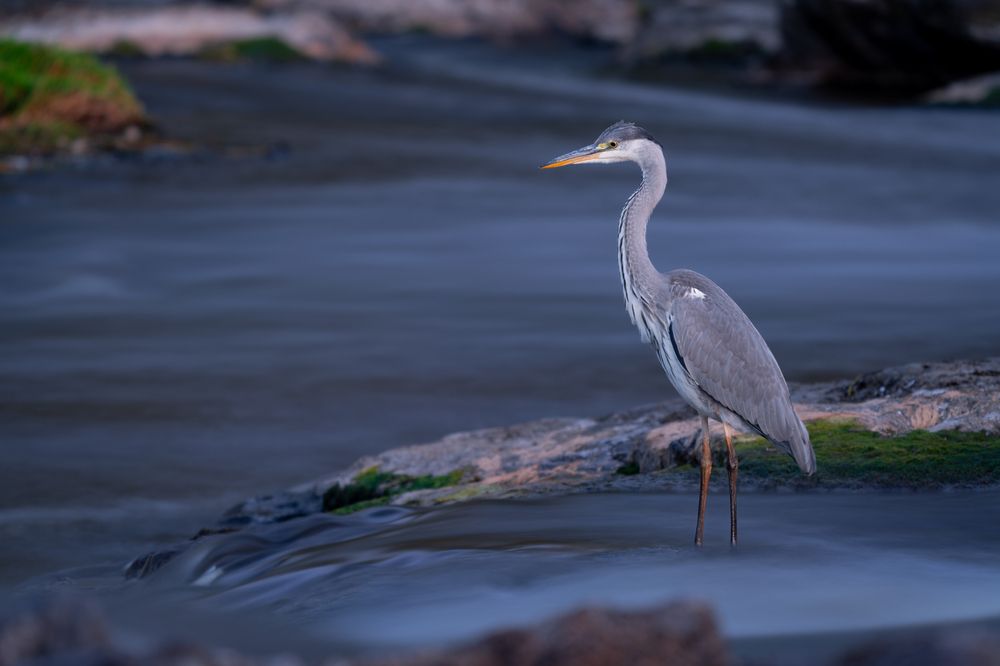 Photograph by Сергей Лебедев