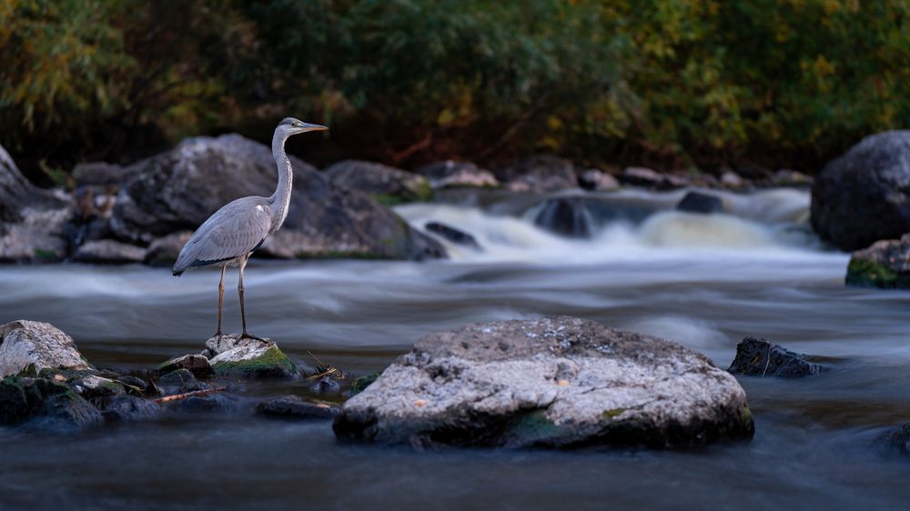 Photograph by Сергей Лебедев