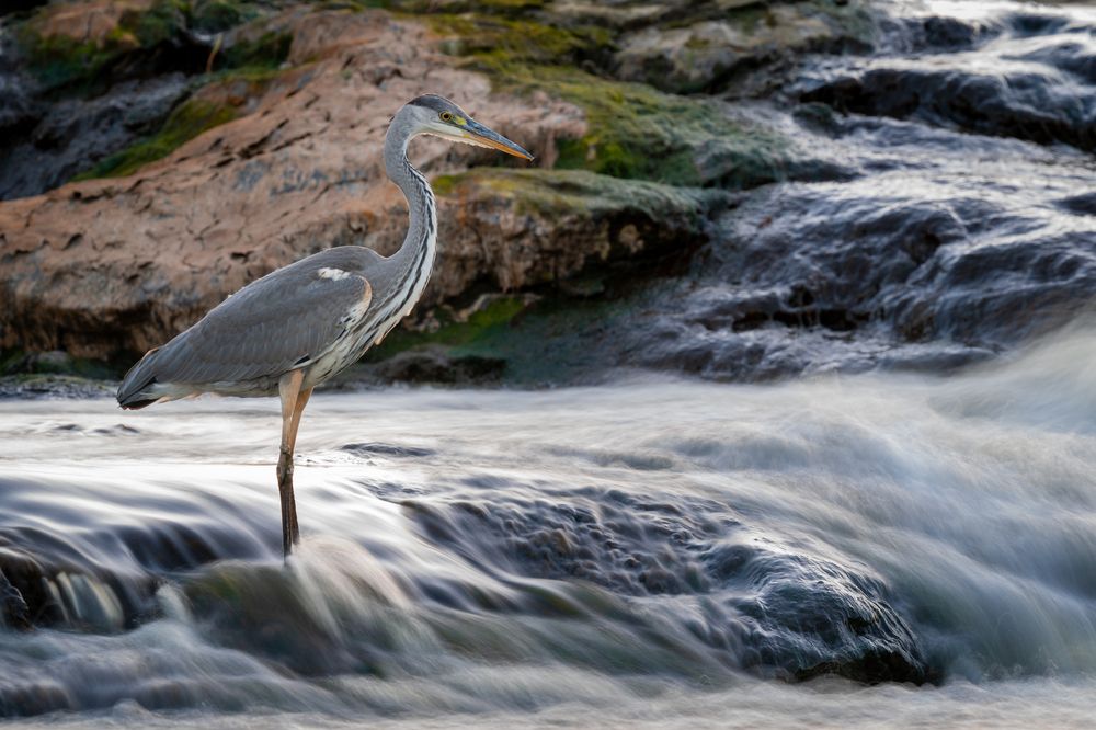 Photograph by Сергей Лебедев