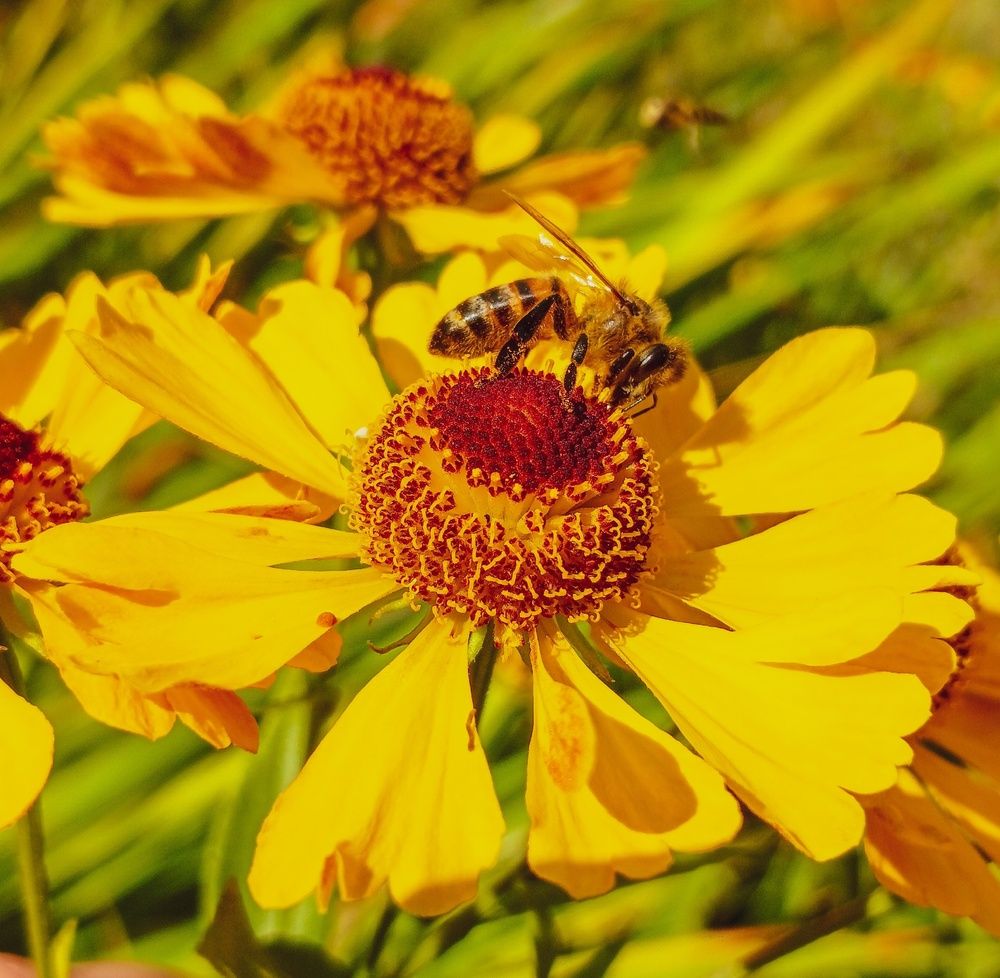 Фотография автора Valerya Vasileva