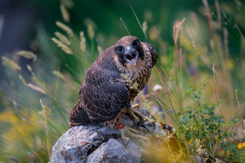 Photograph by Сергей Лебедев