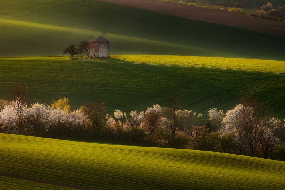 Фотография автора Petr Kleisner