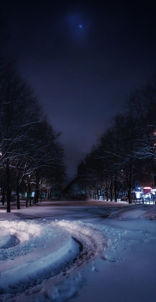 Фотография автора Valerya Vasileva