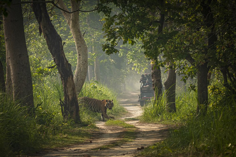 Photograph by Rahuldeb Bhattacharya