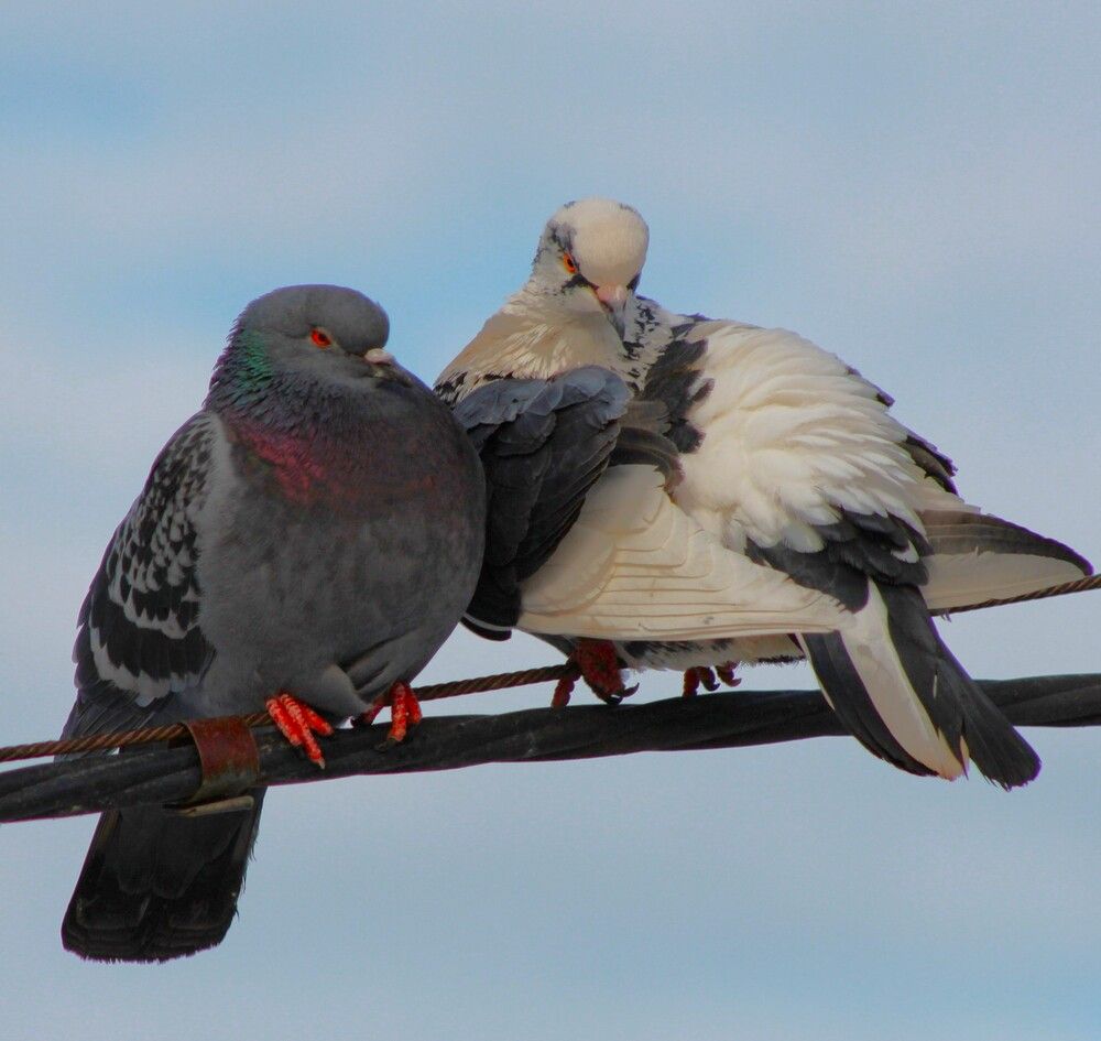 Photograph by Владимир Малёшин