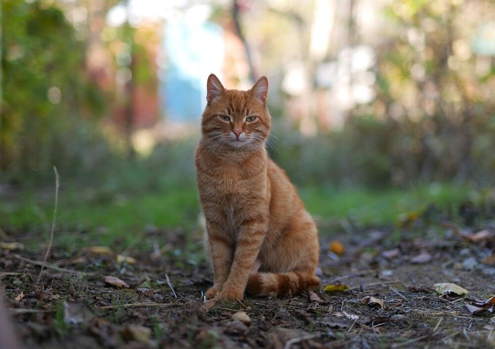 Photograph by Оксана Архипова