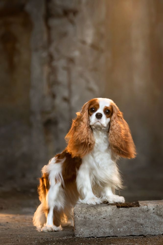 Photograph by Арина Михайлова