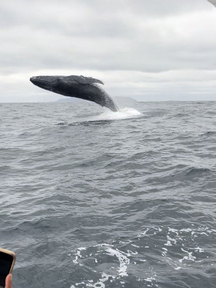 Photograph by Дарья Гаврилова