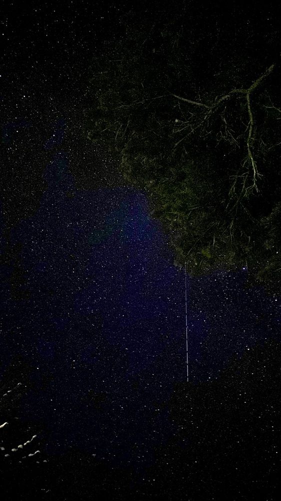 Фотография автора Анна Кулакова