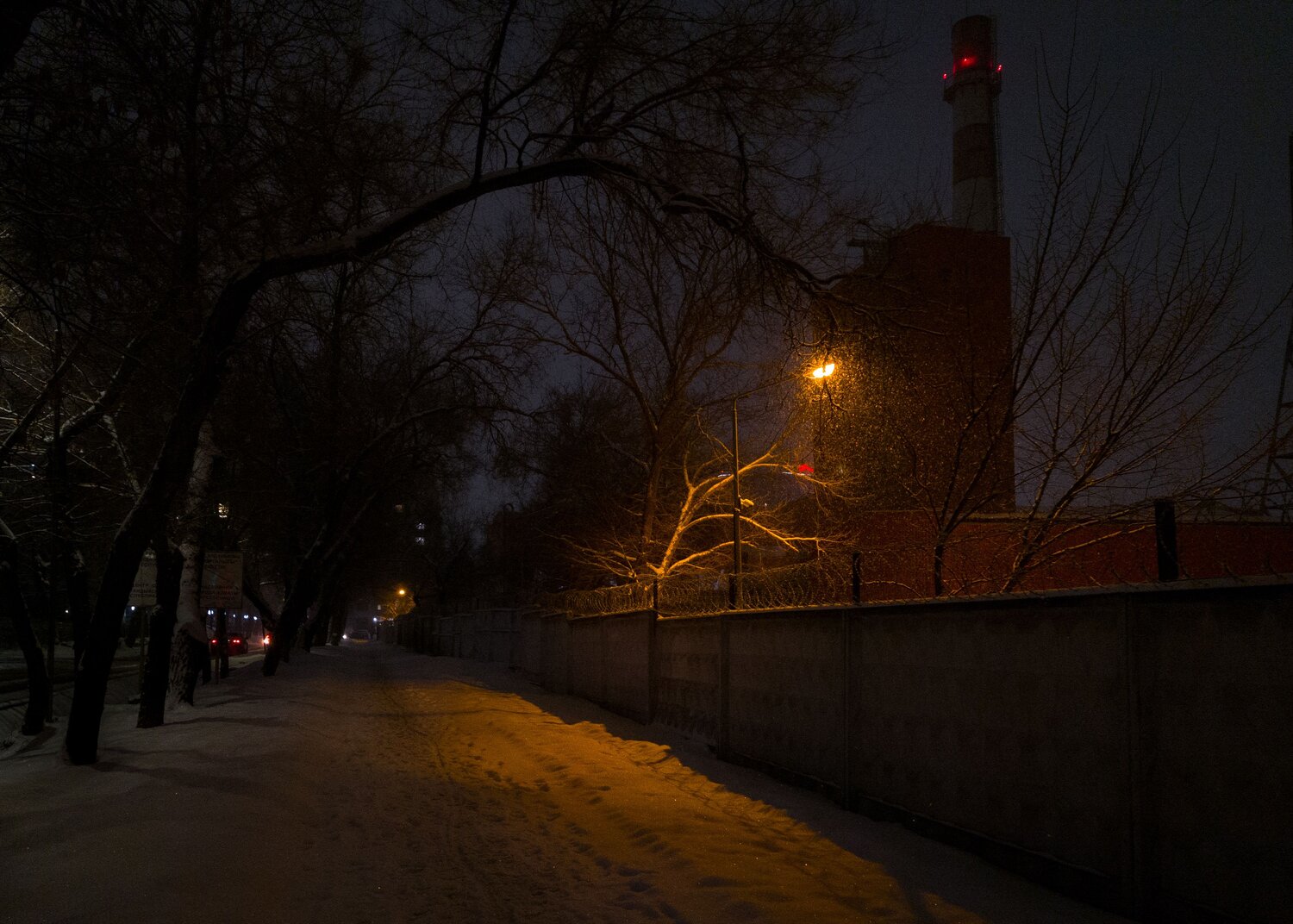 Photo #12014637