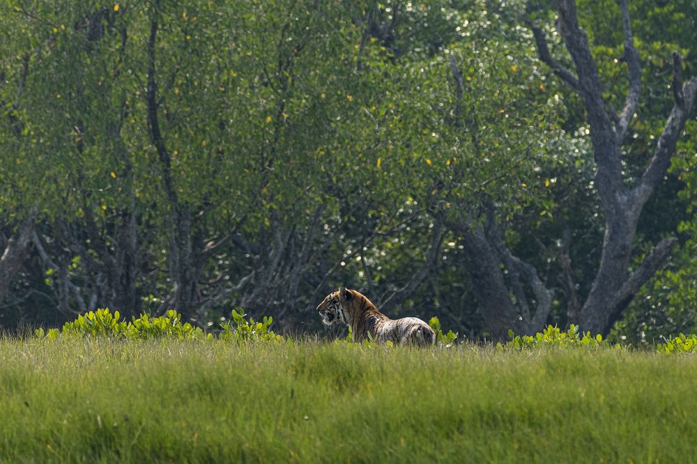 Photograph by Rahuldeb Bhattacharya