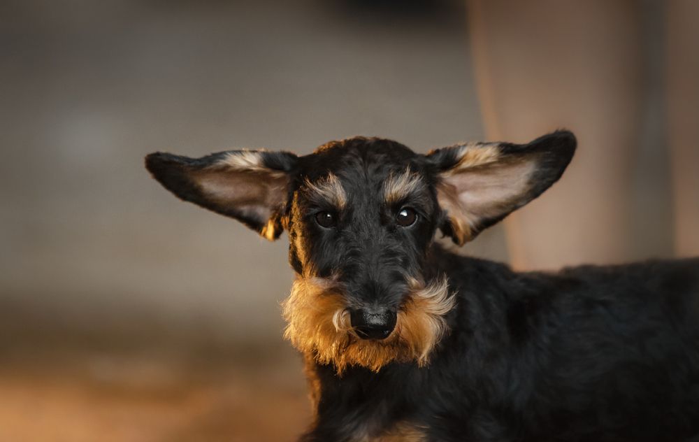 Photograph by Арина Михайлова