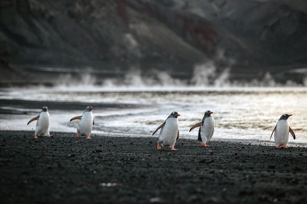 Vacationers in thermal waters.