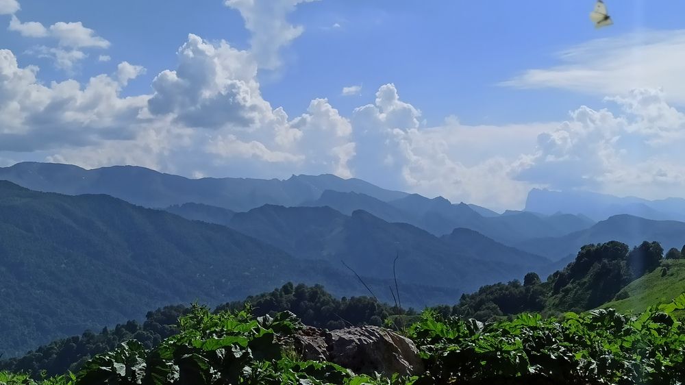 Photograph by Людмила Фурсова