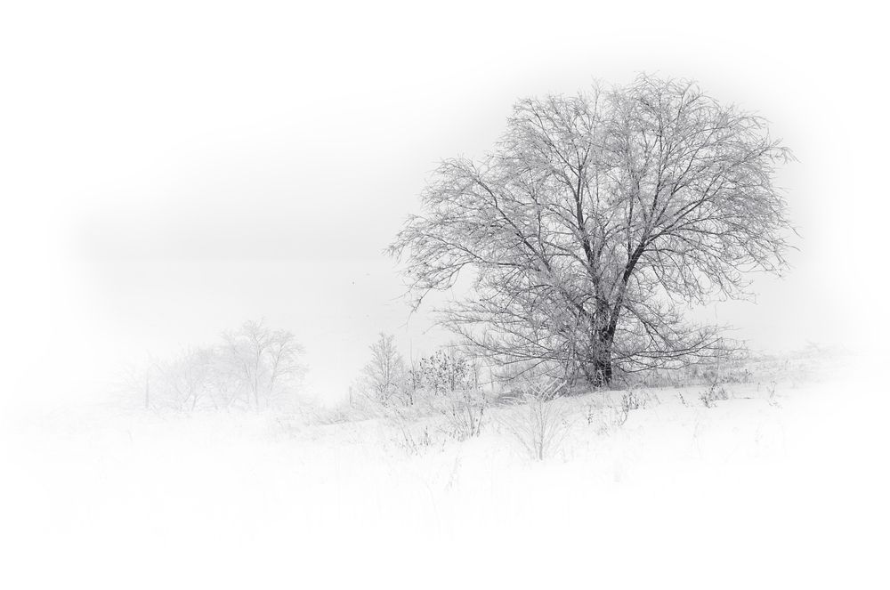 Photograph by Евгения Елисеева