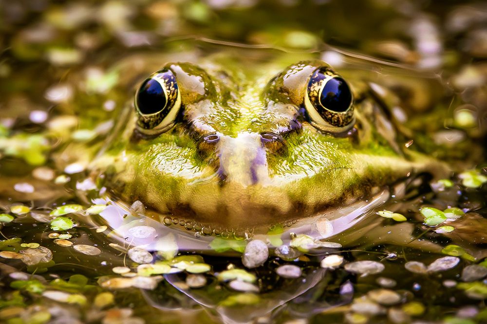 Photograph by Юлия Калугина