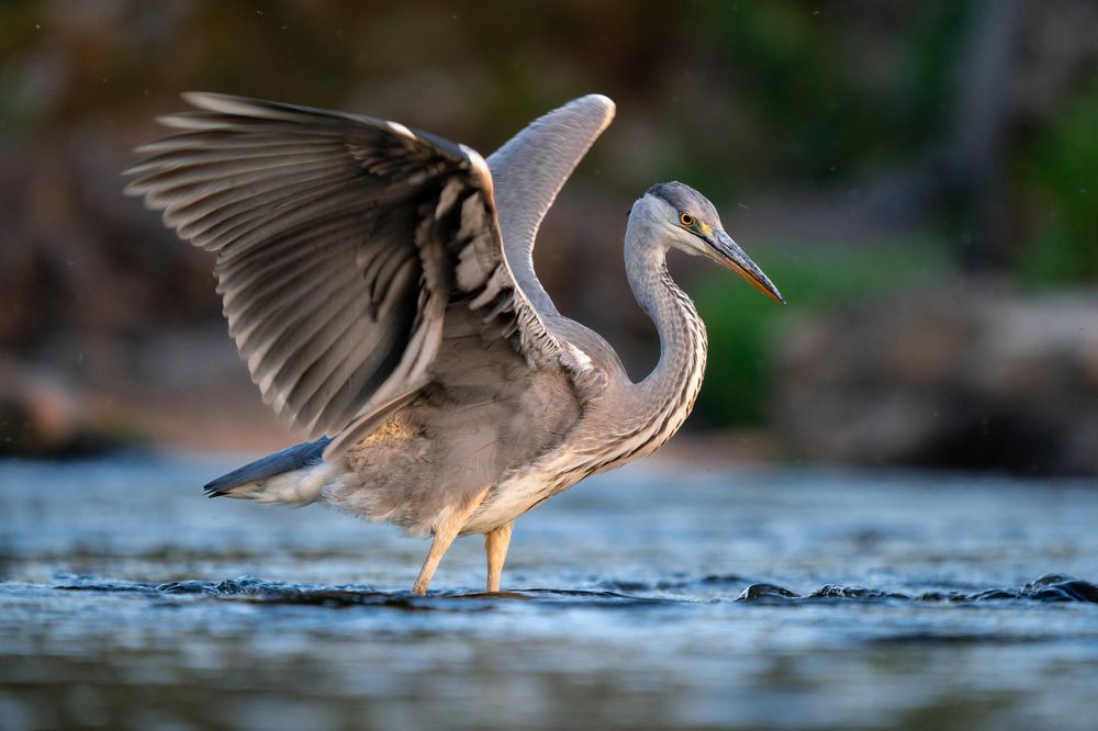 Photograph by Сергей Лебедев