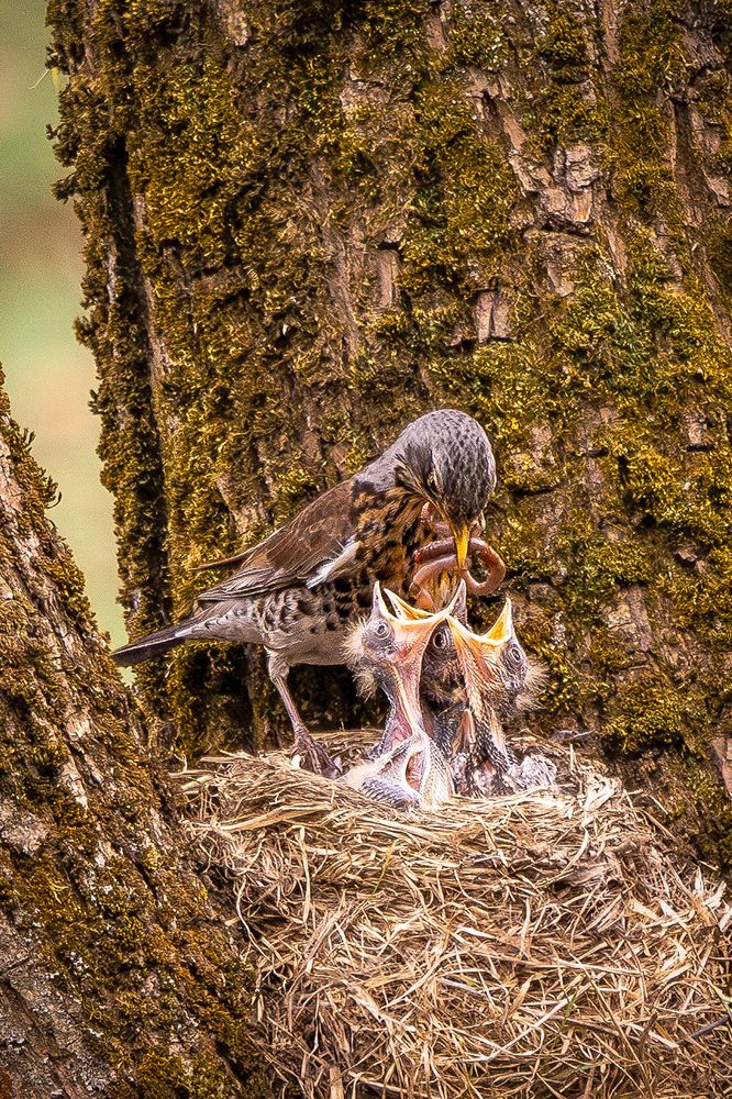 Photograph by Юлия Калугина